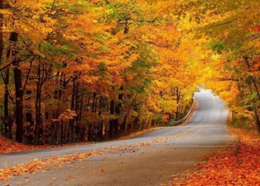 کاهش دمای هوای از اواسط هفته آینده/ از برافروختن آتش در مناطق جنگلی گیلان خودداری شود