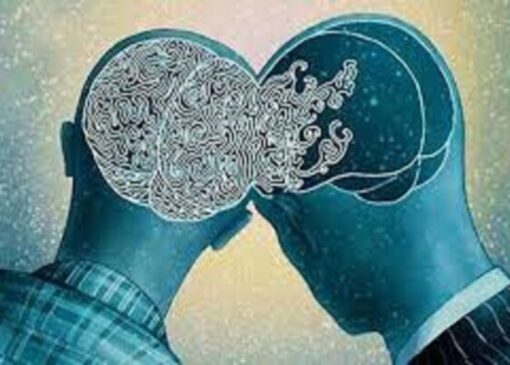 امیرالمؤمنین (ع) چه کسانی را برای همنشینی توصیه می‌کند؟