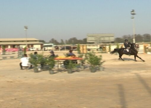 پایان پیکارهای قهرمانی سوارکاری استان قم