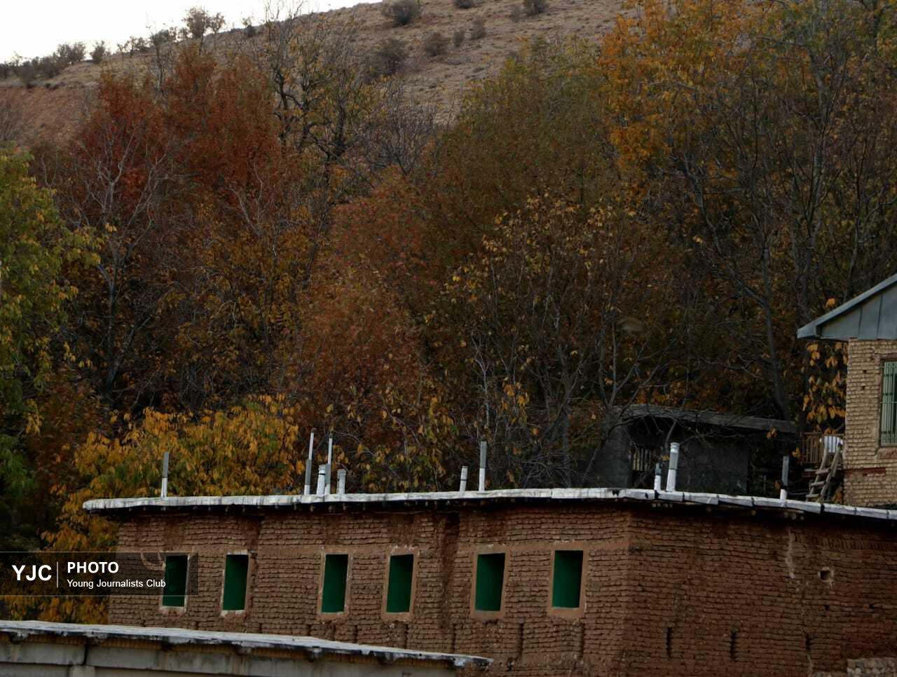 سپیدان در آغوش رنگ‌های پاییزی؛ مقصدی محبوب برای گردشگران + تصاویر