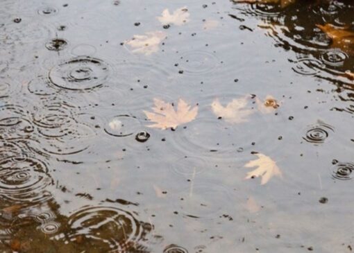 افزایش بارش‌های پاییزی در نیمه آذر ماه /ورود سامانه بارشی از عصر یکشنبه