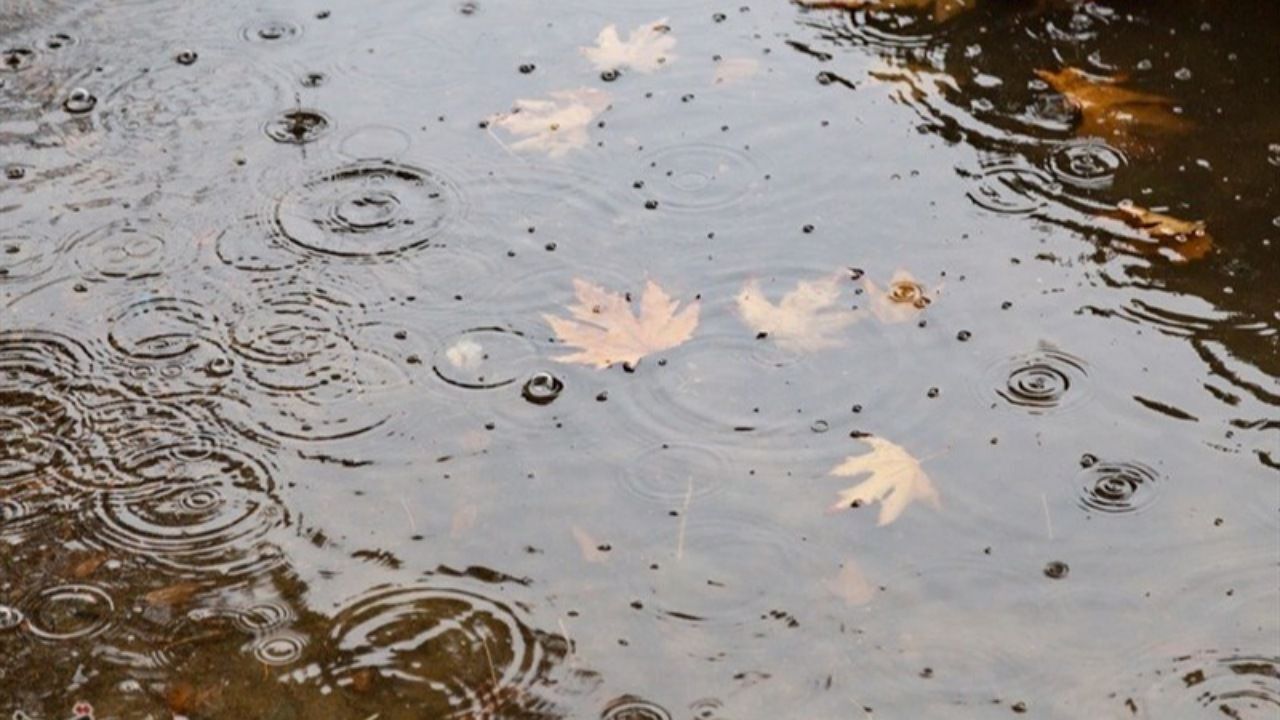 افزایش بارش‌های پاییزی در نیمه آذر ماه /ورود سامانه بارشی از عصر یکشنبه