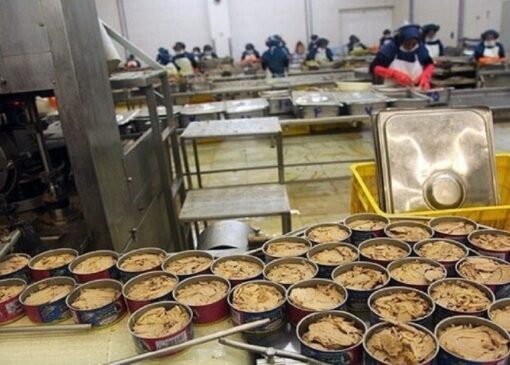کارخانجات کنسرو در آستانه تعطیلی هستند