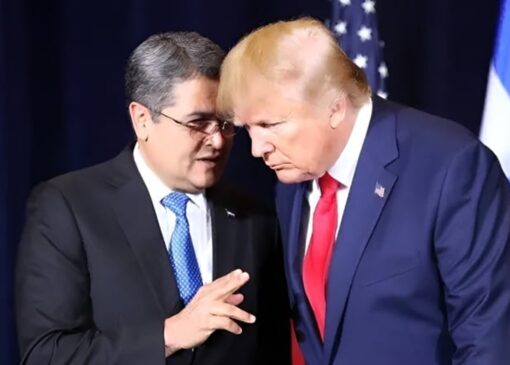 قاچاقچی محبوب ترامپ کیست؟ + فیلم