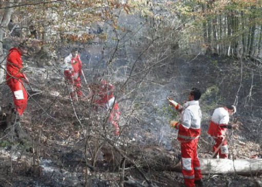 اقدام به موقع نجاتگران هلال احمر ساری در اطفای حریق جنگل‌های چورت