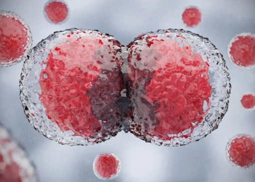 سلول‌ها از کجا می‌دانند که مربوط به کدام عضو بدن هستند؟