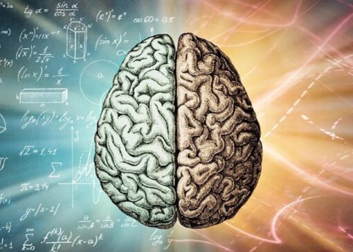 مغز چگونه رفتار‌های ما را «مهندسی» می‌کند؟