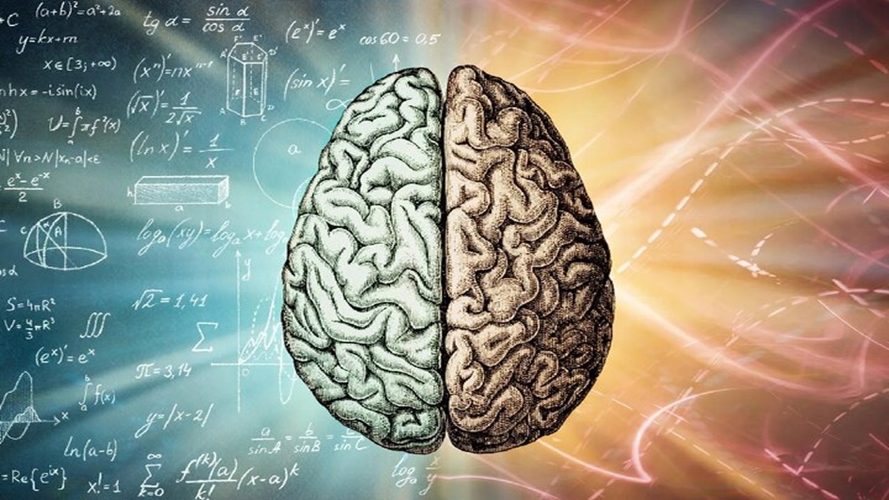 مغز چگونه رفتار‌های ما را «مهندسی» می‌کند؟