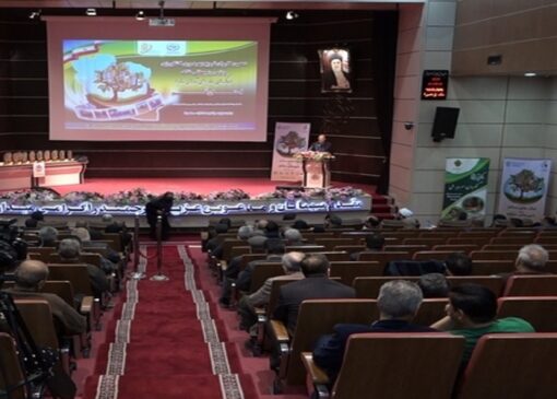 فاجعه زیست محیطی در قم؛ تنها هزار هکتار خاک حاصلخیز باقی مانده است