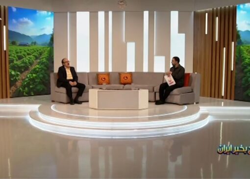 بخش‌هایی از کشور که ممکن است مورد حمله ملخ‌های مهاجر قرار بگیرد + فیلم