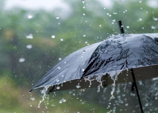 افزایش نسبی دمای هوا در نوار غربی کشور