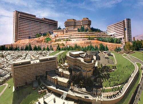 ۱۹ پژوهشگر دانشگاه شیراز در شمار پژوهشگران پراستناد یک‌درصد برتر دنیا