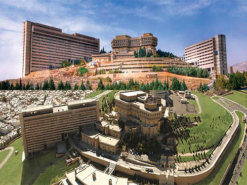 ۱۹ پژوهشگر دانشگاه شیراز در شمار پژوهشگران پراستناد یک‌درصد برتر دنیا