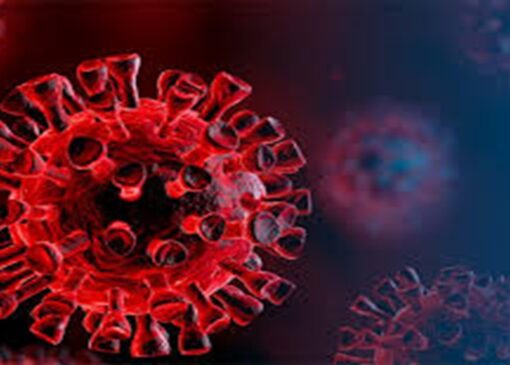 تولید کیت تشخیص بیماری شایع تنفسی + فیلم