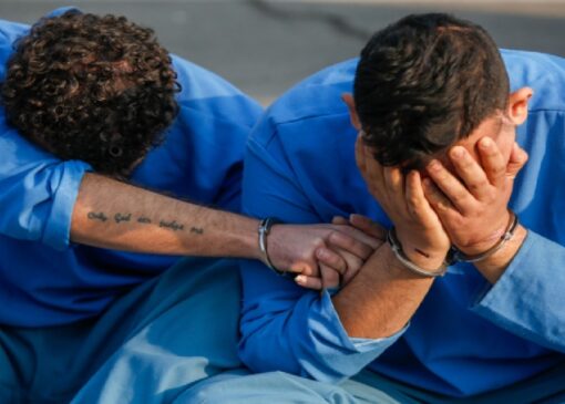 سه عضو دیگر از عوامل کانال «شکار مزدور» در مازندران دستگیر شدند