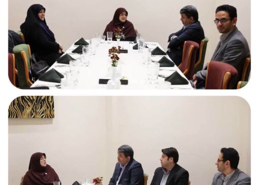 سخنگوی دولت وارد کرمان شد