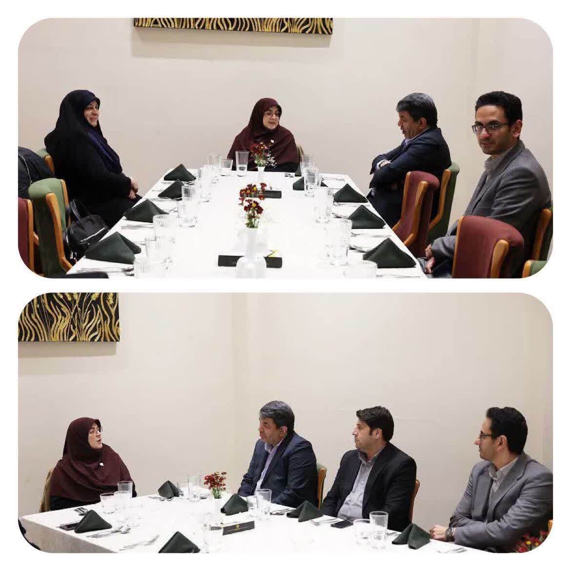 سخنگوی دولت وارد کرمان شد