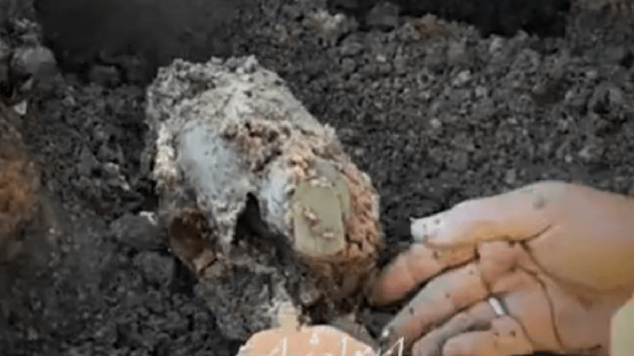 کشف پیکر مطهر شهیدی با قمقمه‌ای پر از آب + فیلم