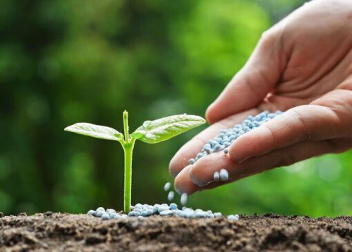 خاک سالم اساس و بنیان سامانه های غذایی پایدار جهان است