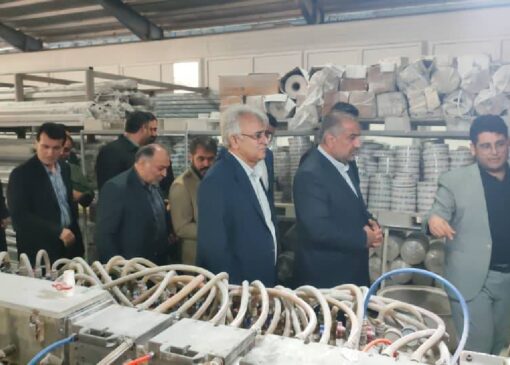 ستاد اقتصاد مقاومتی پای درد ِدل فعالان اقتصادی/ بازدید میدانی از واحدهای تولیدی رامیان