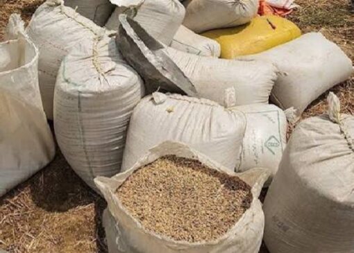 کشف بیش از ۲۸ تن گندم قاچاق در مراغه