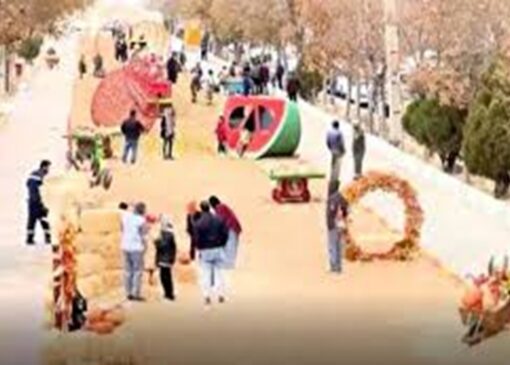 شهروندان اراکی مهمان پیاده‌روی پاییزی + فیلم