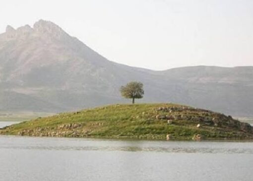 نقشه راه احیای تالاب ارژن تکمیل شد