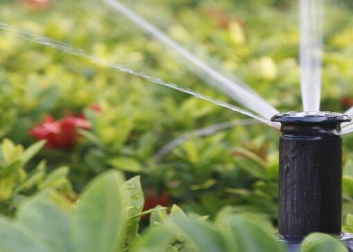 تأمین آب فضای سبز شهری یزد با آب چاه‌های شهرداری و بخشی از پساب