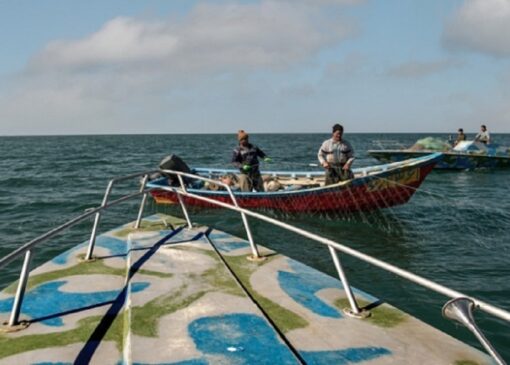 افزایش ۱۵ درصدی صید از دریای خزر