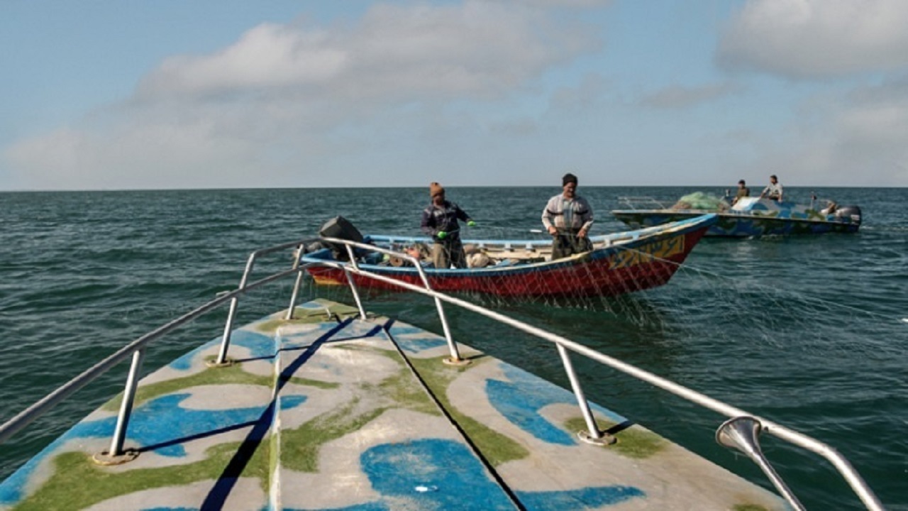 افزایش ۱۵ درصدی صید از دریای خزر
