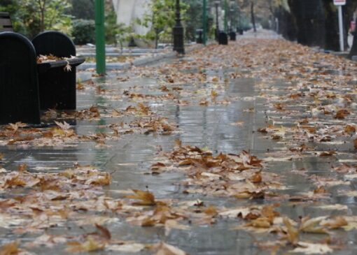 بارش باران پاییزی در ارتفاعات بخش مرکزی مهریز+فیلم