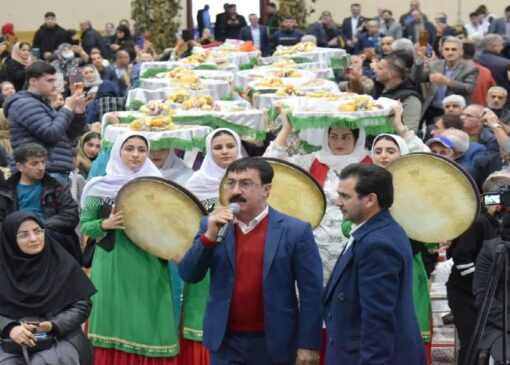 جشنواره شکرانه برداشت کیوی در تالش+ تصاویر