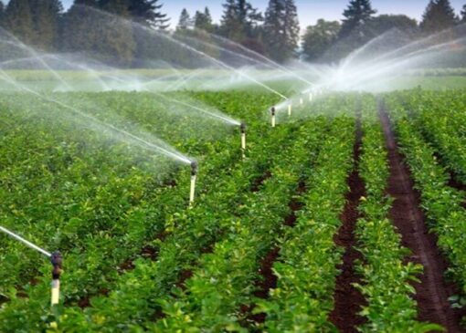 اجرای سیستم‌های نوین آبیاری در بیش از هزار و ۱۰۰ هکتار از اراضی خراسان جنوبی