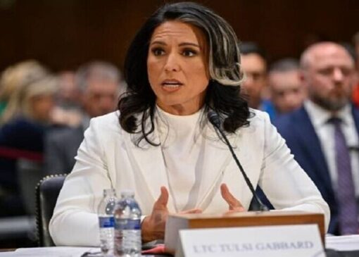 ۲۰۰۰ افغان در آمریکا با تروریست‌ها مرتبطند