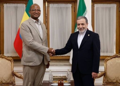 دیدار رئیس مجلس نمایندگان اتیوپی با عراقچی