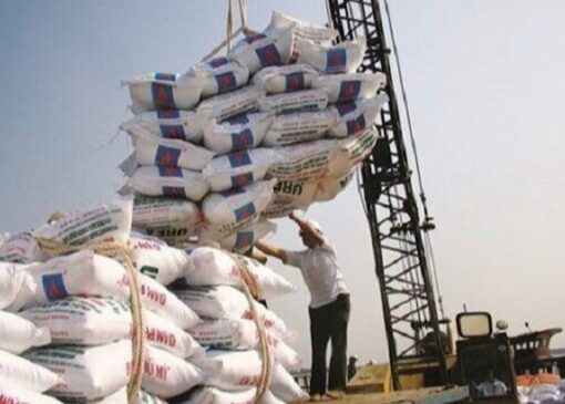 واردات کالا‌های اساسی از استان‌های مرزی آزاد شد