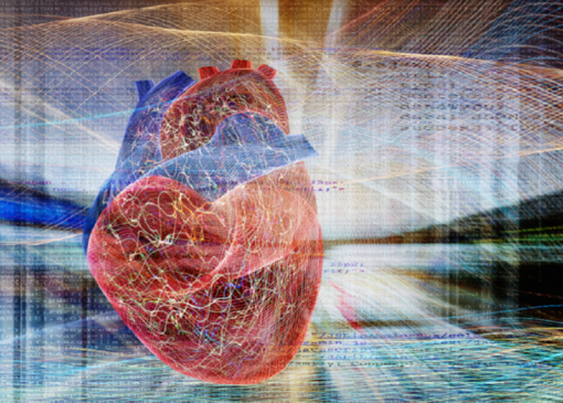 یک عامل پنهان که قلب را ضعیف و طول عمر را کوتاه می‌کند