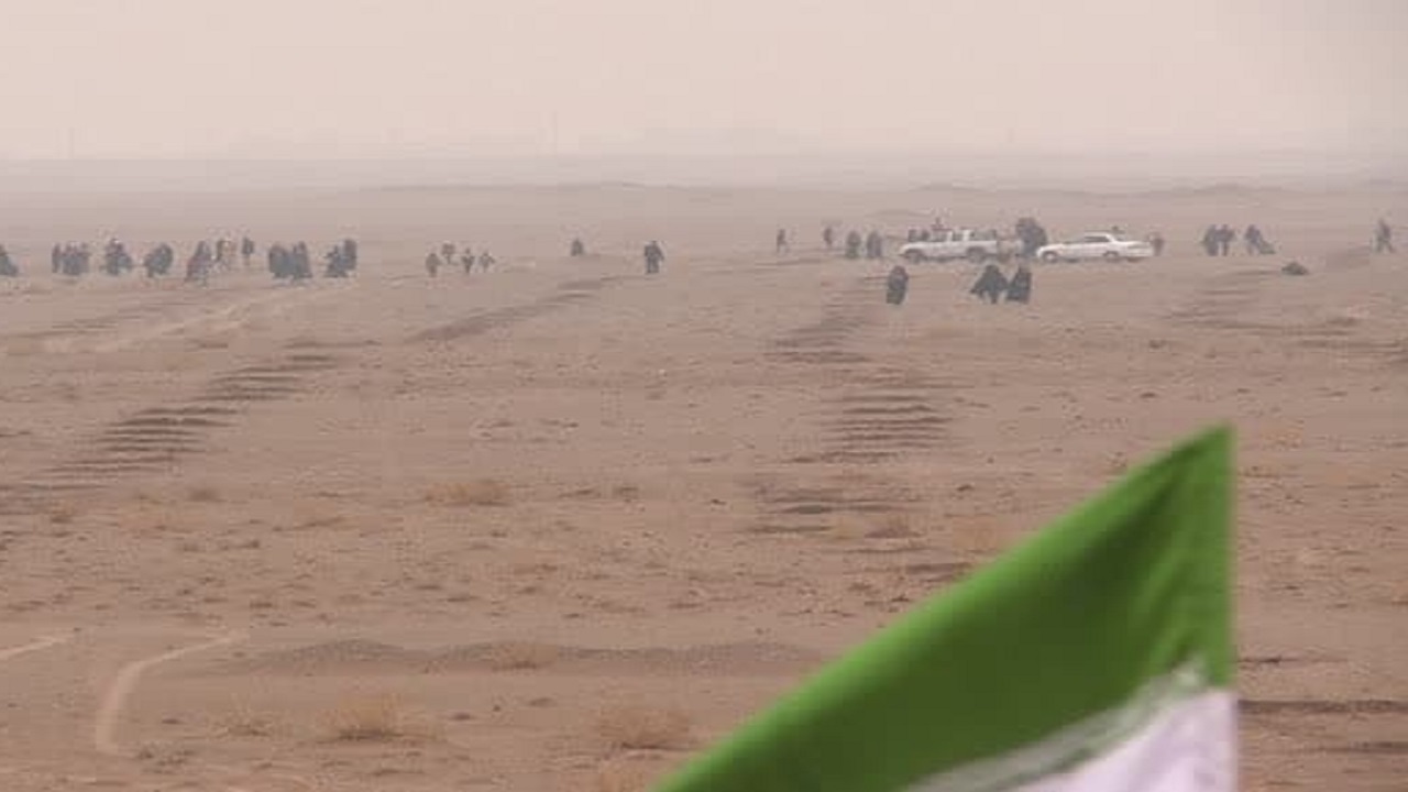 کاشت ۱۵۰۰ اصله نهال «زیر سایه مادر»