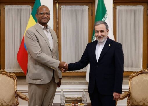 دیدار و گفتگوی رئیس مجلس نمایندگان اتیوپی با وزیر خارجه کشورمان