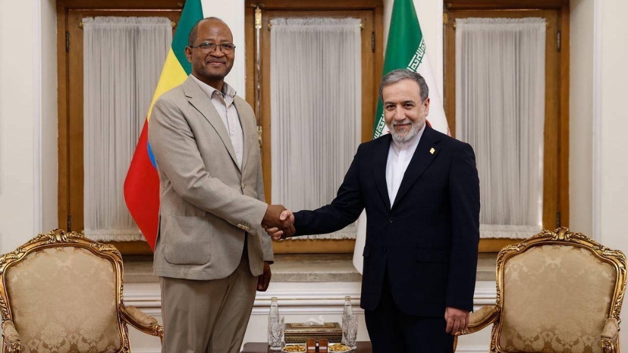 دیدار و گفتگوی رئیس مجلس نمایندگان اتیوپی با وزیر خارجه کشورمان