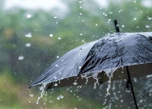 فیلمی از بارش باران به وقت صبح پاییزی در لنگرود