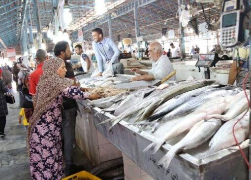 صنایع تبدیلی شیلات، موتور محرک اشتغال پایدار و امنیت غذایی در هرمزگان