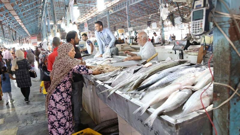 صنایع تبدیلی شیلات، موتور محرک اشتغال پایدار و امنیت غذایی در هرمزگان