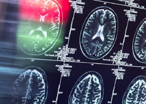 تأثیر عوامل روزانه بر شکل‌گیری عادت