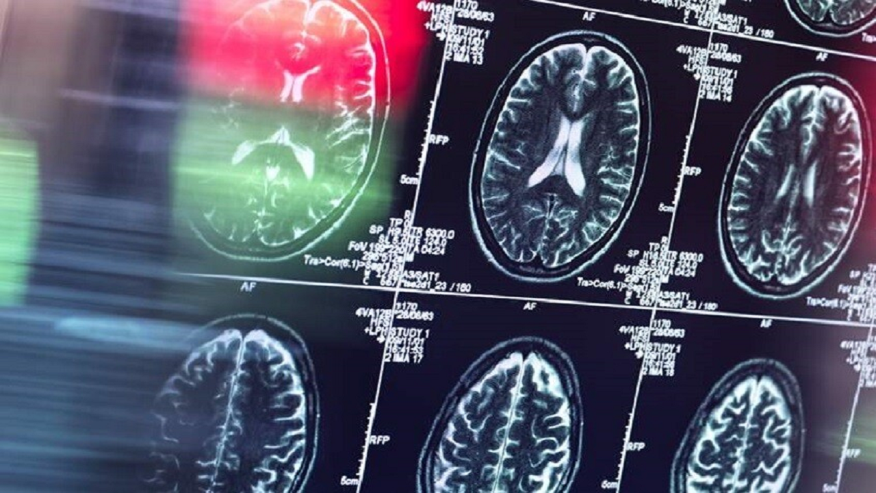 تأثیر عوامل روزانه بر شکل‌گیری عادت