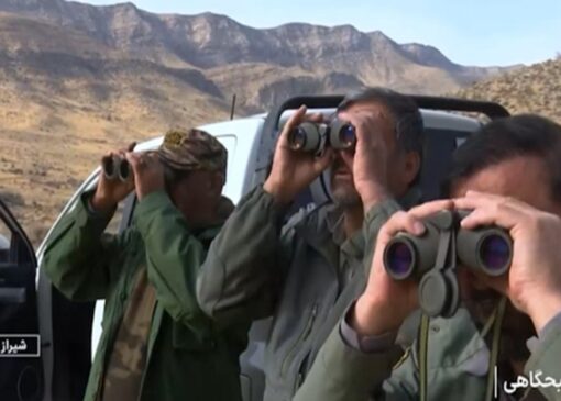 سرشماری پاییزه وحوش در بمو + فیلم