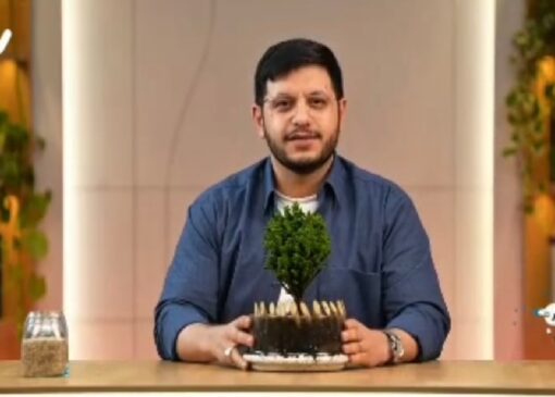 خانواده‌هایی که می‌توانند باعث رشد هوش هیجانی فرزندان شوند