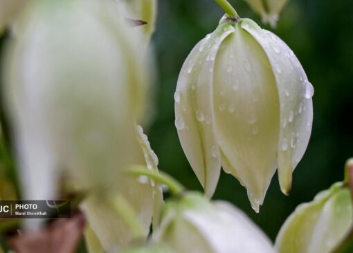 ورود سامانه بارشی جدید به کشور