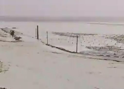 زیر آب رفتن نخلستان مجول بشاگرد + تصاویر