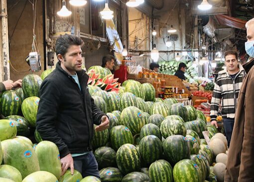 میوه شب یلدا با قیمت متعادل عرضه می‌شود